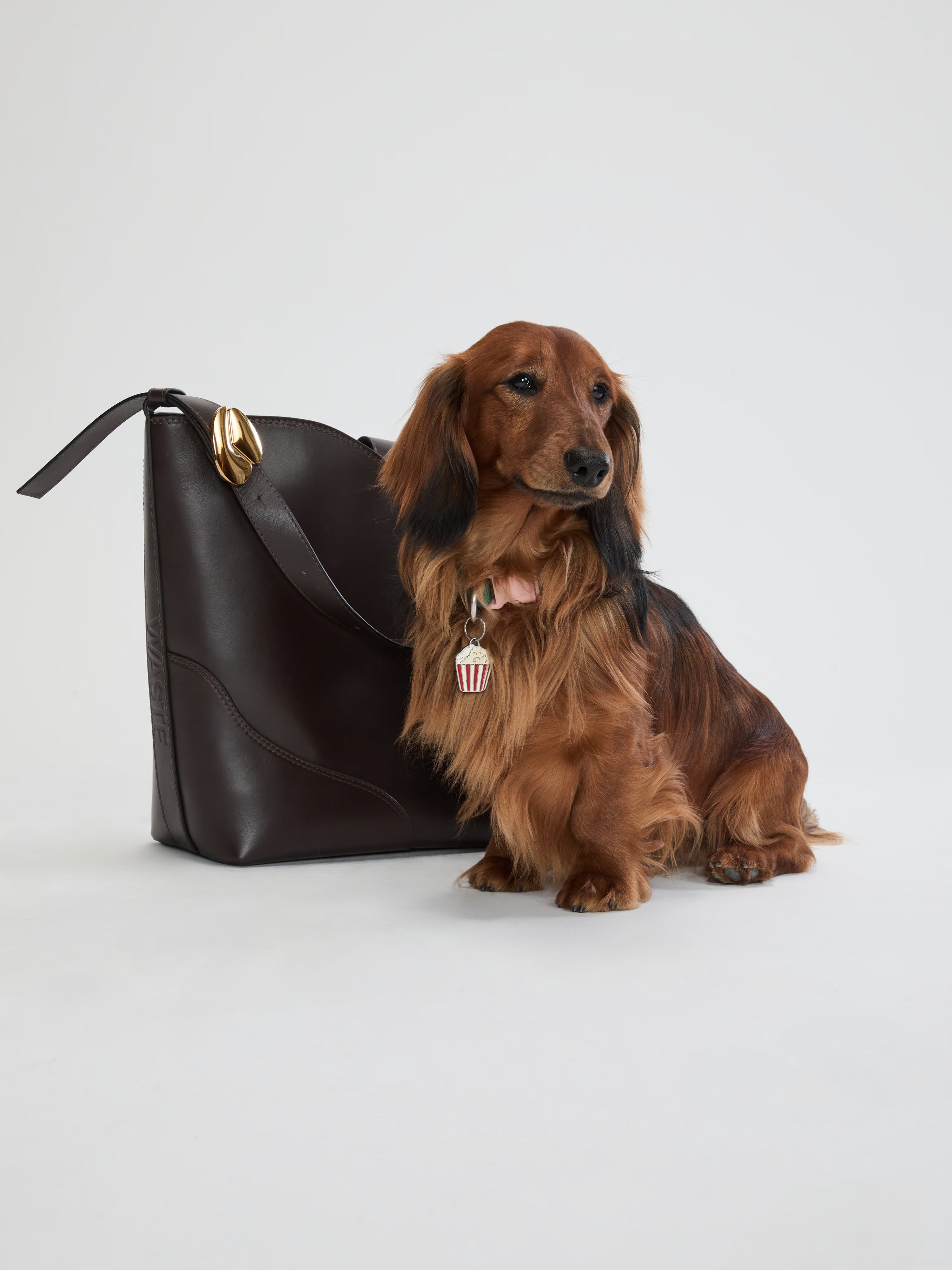 Charlie Tote Bag